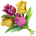 :bouquet: :bouquet: