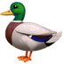 :duck: