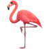 :flamingo:
