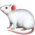:mouse2: :mouse2: