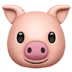 pig