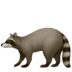 :raccoon: